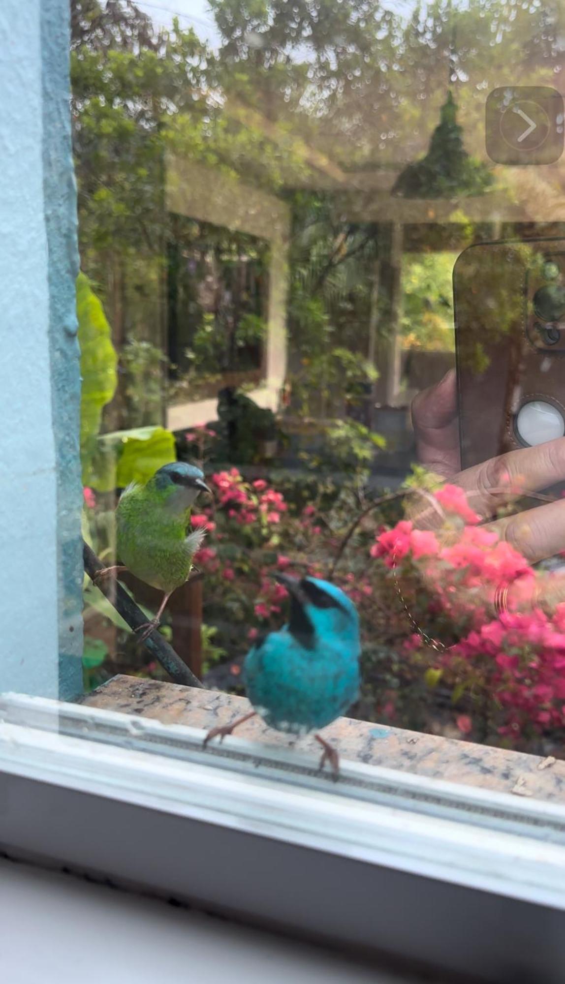 Recanto Dos Passarinhos Linda Casa Com 2 Quartos *